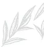 全国小学生足球赛冠军_全国小学足球联赛_小学足球比赛冠军
