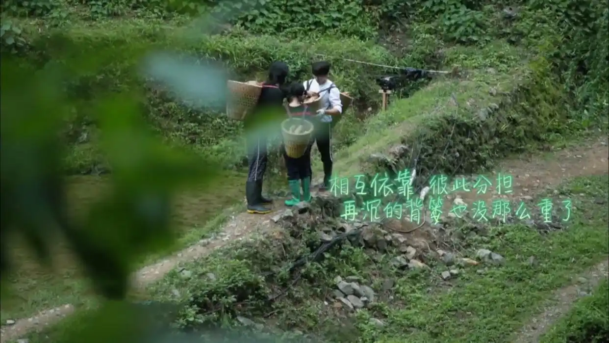 向往的生活劈柴技巧_向往的生活劈柴技巧_向往的生活劈柴技巧