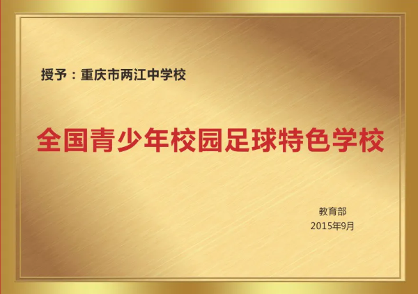 足球冠军是谁中国_足球冠军是谁2024_六中足球冠军是哪一年