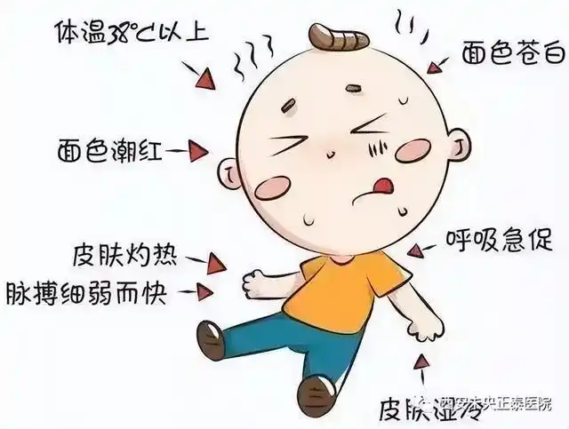 夏季安全知识小常识_常识夏季基本安全防护措施_夏季安全基本常识