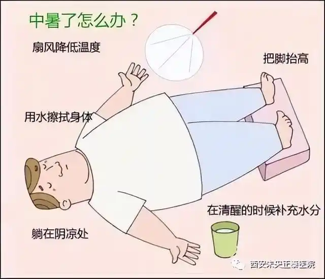 夏季安全基本常识_常识夏季基本安全防护措施_夏季安全知识小常识
